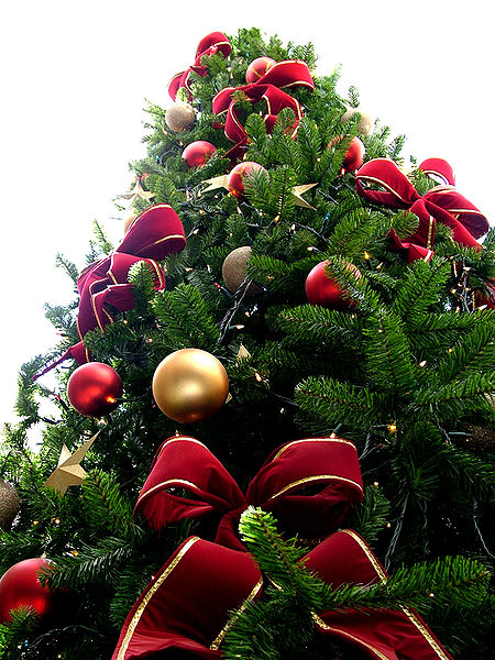 BEAU SAPIN DE NOËL