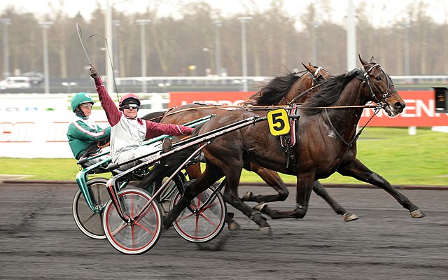 Ready Cash avec Franck Nivard au Prix de France