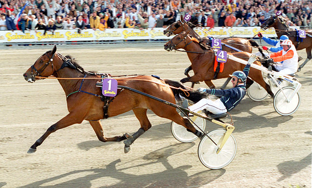 Général du Pommeau, deuxième derrière Victory Tilly, à l`arrivée de l`Elitloppet en 2000