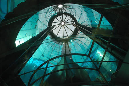  AquaDom , Aquarium Hôtel Radisson_mesfavorisites.com