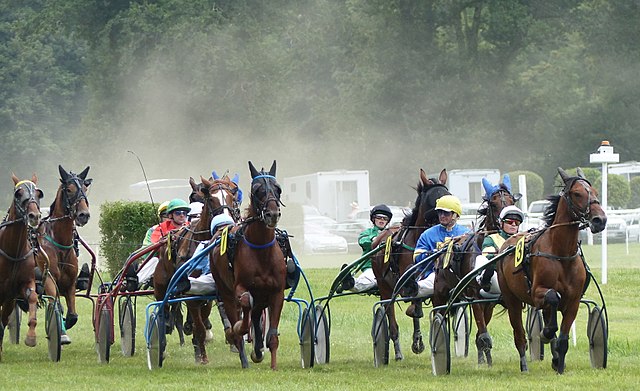 ATTELE-Course_trotteurs_