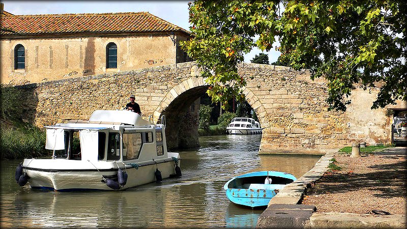 Les Platanes du Canal du Midi sont Menacés.