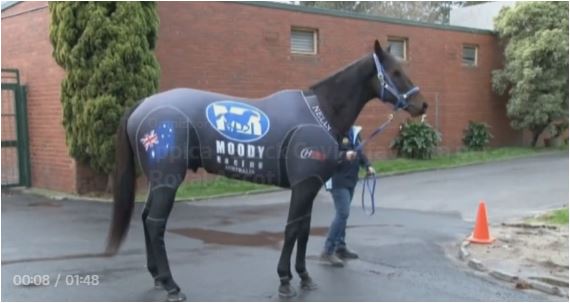 CHAMPION DU Monde- BLACK CAVIAR