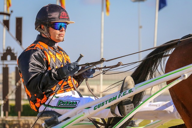 chevaux,racing,trot,hippodrome,animaux,mammifères,portrait,jockey