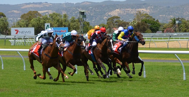 Course -Chevaux- Cheval- Animal, Tradition- Cheval- De Course-résultats-