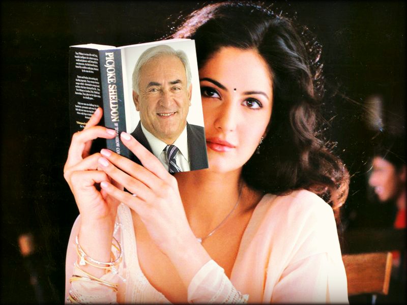 cv-Dominique_Strauss-Kahn-image _pic-illustration_