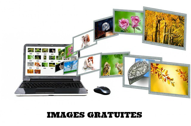 internet-315132_640Internet Contenu Portail Recherche_images