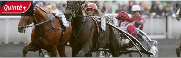 LA COURSE DU QUINTE + DU JOUR