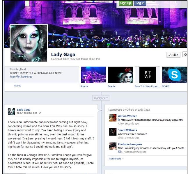 lady-gaga-poste-sur-facebook-i.dailymail.co.ukipix2013