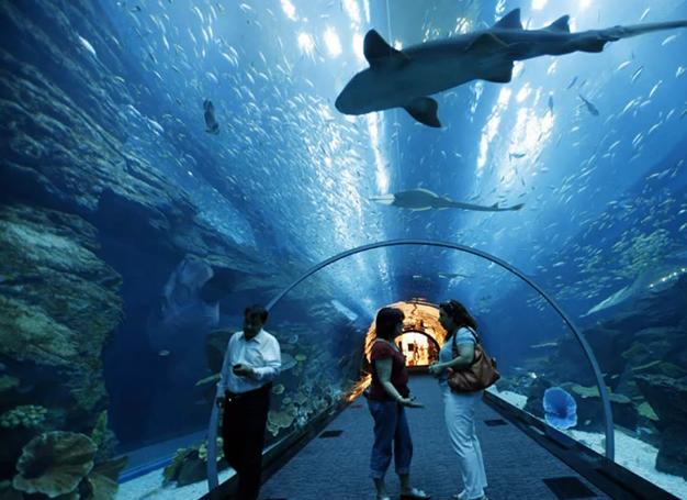 le plus grand aquarium du Monde-mesfavorisites.com