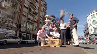 le premier tour de France des pigeons voyageurs