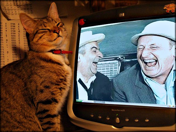 bourvil et louis de funes