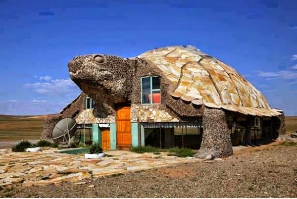 MAISON_ INSOLITE_ TORTUE