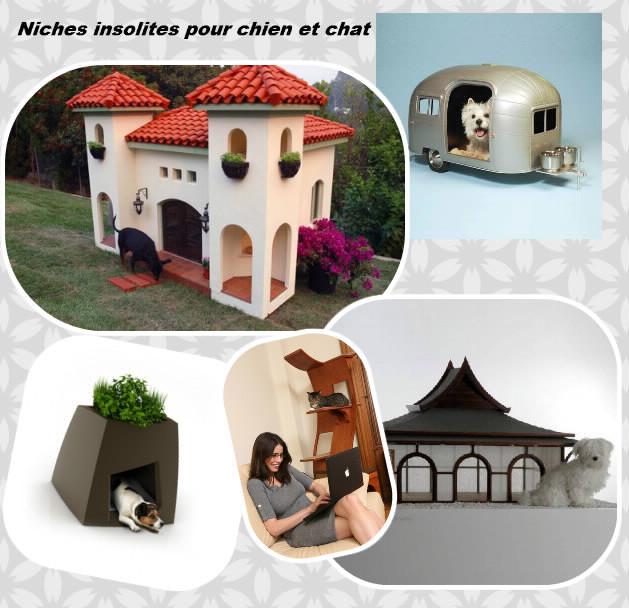 niches-insolites-pour-chien-et-chat