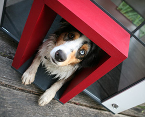 niche-de-luxe-pour chiens