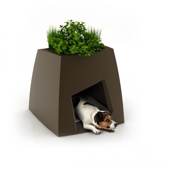 nouvelle-niche-creative-design-et-ecologique--chien-chat