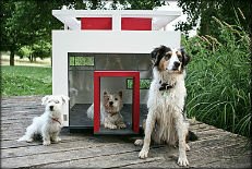 niche-design-pour -chiens