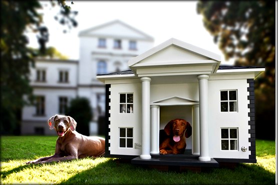 niche_villa_alabama-design-pour chiens