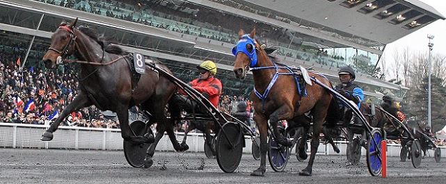 PRIX d`Amérique 2017-OPODO