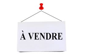 SITE A VENDRE