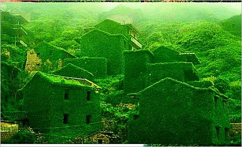 verdure -englouti-maisons-village --Zhoushan-Chine-2