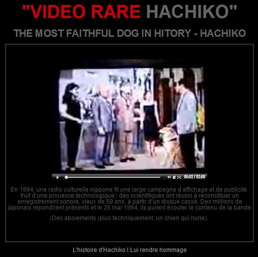 VIDEO- RARE- DE- HachikO