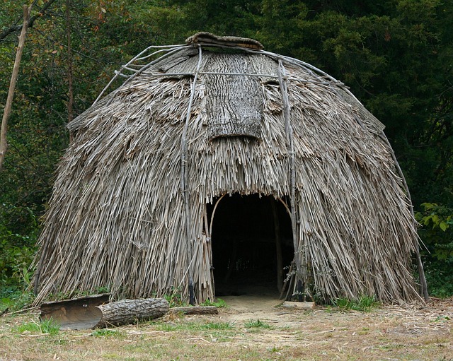 Virginie Village Historique Indien Maison corce Roseaux